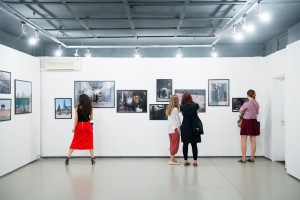 Фото Lena Balakireva, выставка художники Ильи Долгова