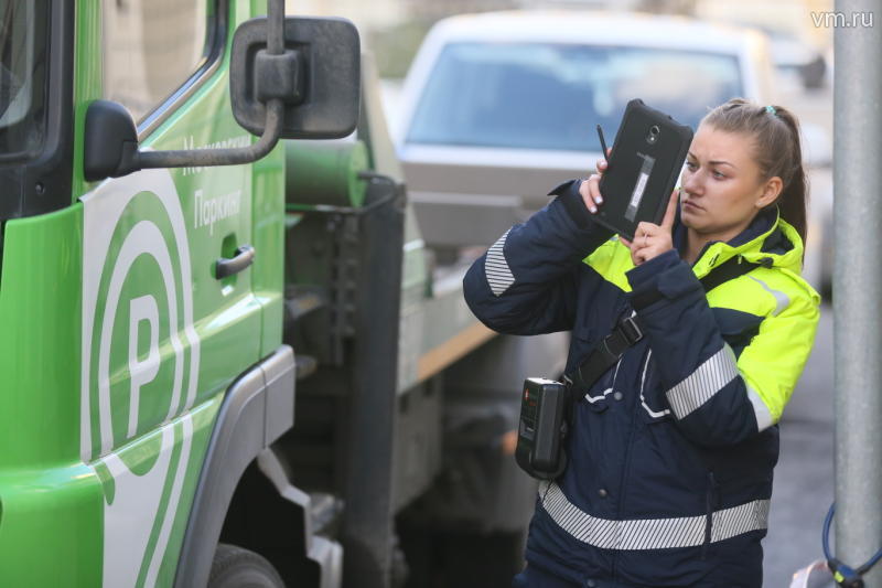 Административную дорожную инспекцию могут наделить правом штрафовать за паркинг на газоне