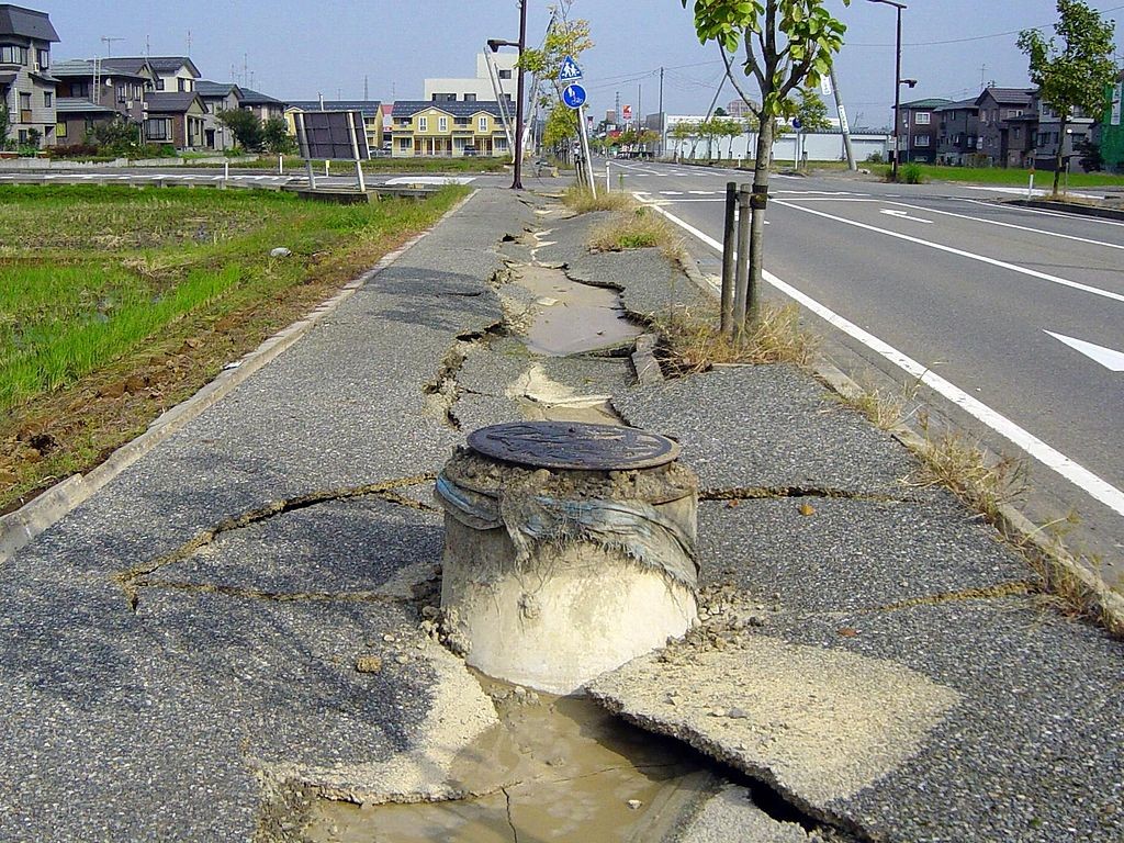 В результате землетрясения в Японии погибли девять человек