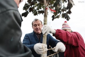 Петр Бирюков вместе со студентами МФЮА принял участие в высадке деревьев на аллее. Фото: Анна Иванцова, "Вечерняя Москва"