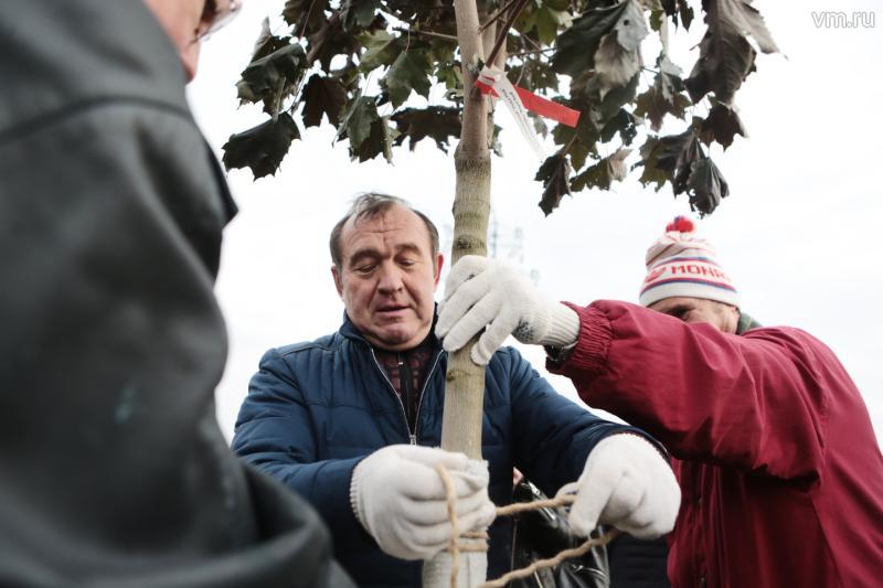 На субботник в Москве вышли 700 тысяч человек