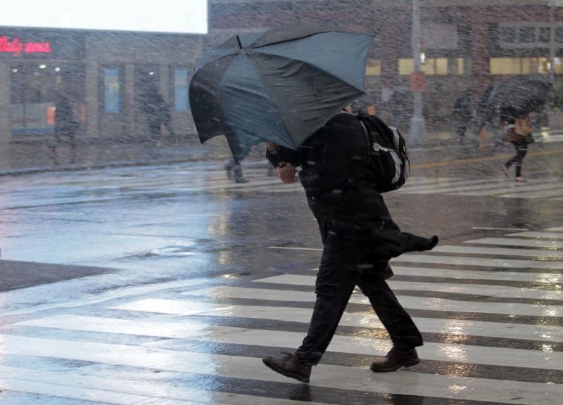 МЧС: В Москве ожидается дождь с сильными порывами ветра
