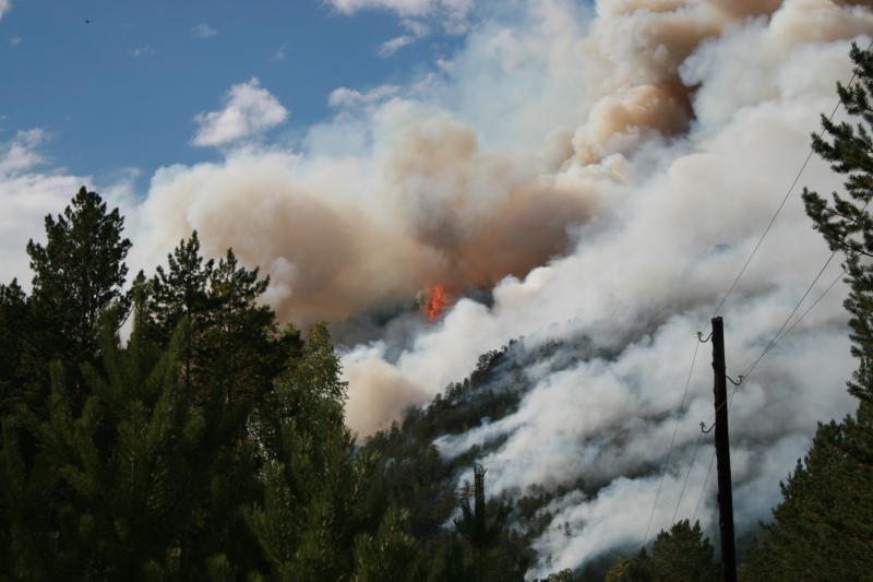 Спасатели просят граждан соблюдать меры пожарной безопасности в лесу