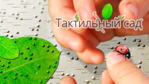 Все инвалиды по зрению из Южного округа смогут посетить тактильный сад