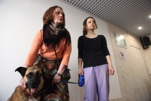 Проверки начнутся в столичных приютах для животных Проверки начнутся в столичных приютах для животных