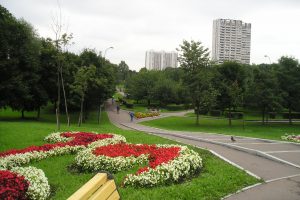 В парке Центрального Чертаново восстановили дорожки