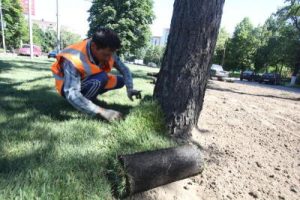 В районе Братеево восстановили газон