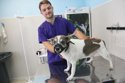 Бесплатная вакцинация животных пройдет в Нагатинском затоне