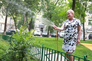 Местные жители преобразили пространство вокруг домов № 2 и № 6 Местные жители преобразили пространство вокруг домов № 2 и № 6