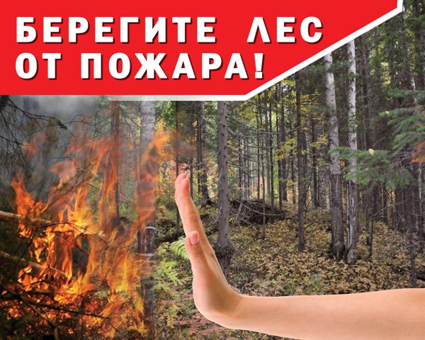 Огонь – беда для леса