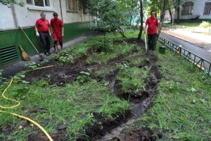 Во дворах района Чертаново Южное восстановили газон