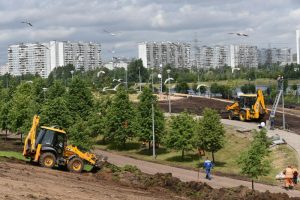 Благоустройство берегов Москвы-реки началось в экологическом парке в Братеевской пойме 
