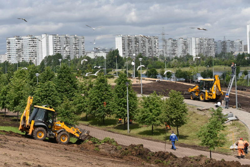 Благоустройство берегов Москвы-реки началось в экологическом парке в Братеевской пойме