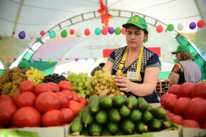 Крышу для ярмарки выходного дня установят в районе Орехово-Борисово Северное