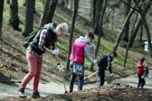 Мемориально-патронатную акцию проведут в парке "Сосенки". Фото: "Вечерняя Москва"