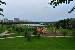 Необычные лотосы появились на пруду в Братеевском парке. Фото: "Вечерняя Москва" Необычные лотосы появились на пруду в Братеевском парке. Фото: "Вечерняя Москва"
