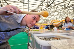 5 августа 2016 года. Эксперт Игорь Никитин проверяет цвет меда, его тягучесть и аромат