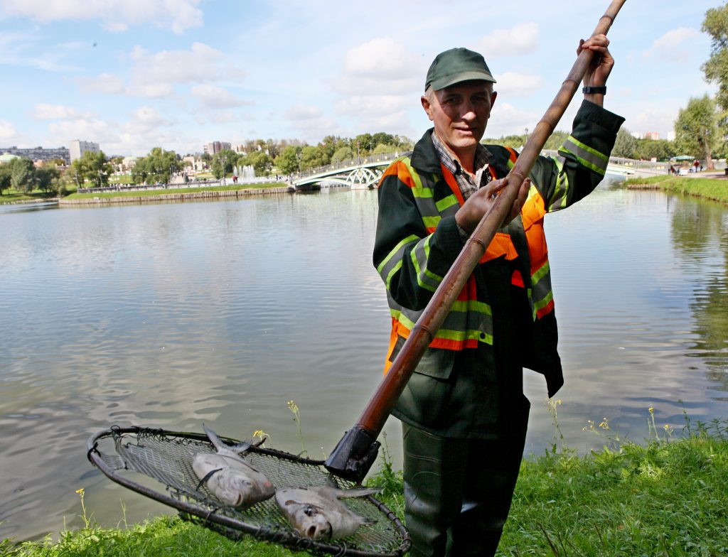 Бригады «Мосводостока» очистили пруд в Царицынском парке