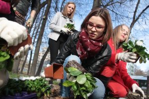 Кукуруза в новом цвете. Фото:  "Вечерняя Москва"