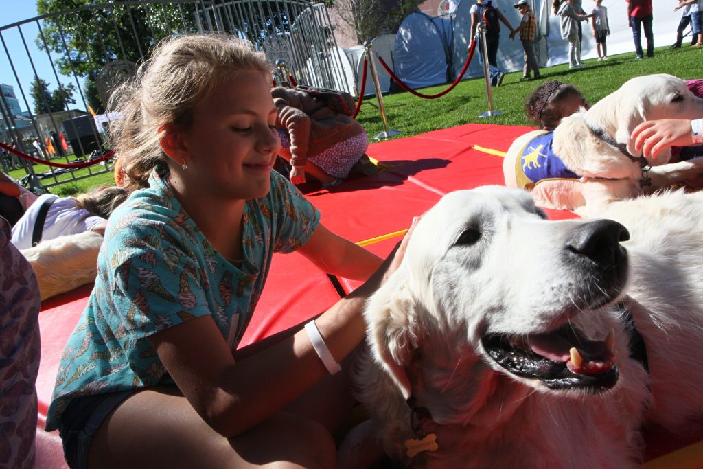 Юные гости Культурного центра ЗИЛ смогут провести время с собаками-терапевтами