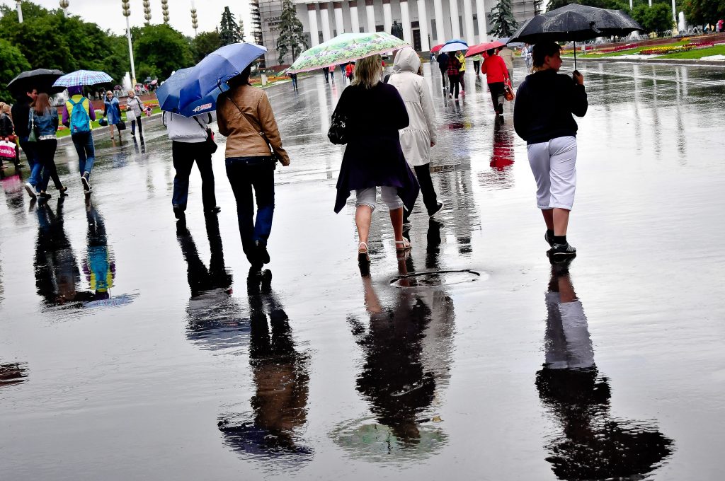 Москву ожидает дождь и безветрие