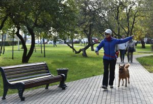 Полное благоустройство Парка 30-летия Победы завершится до конца года. Фото: "Вечерняя Москва"