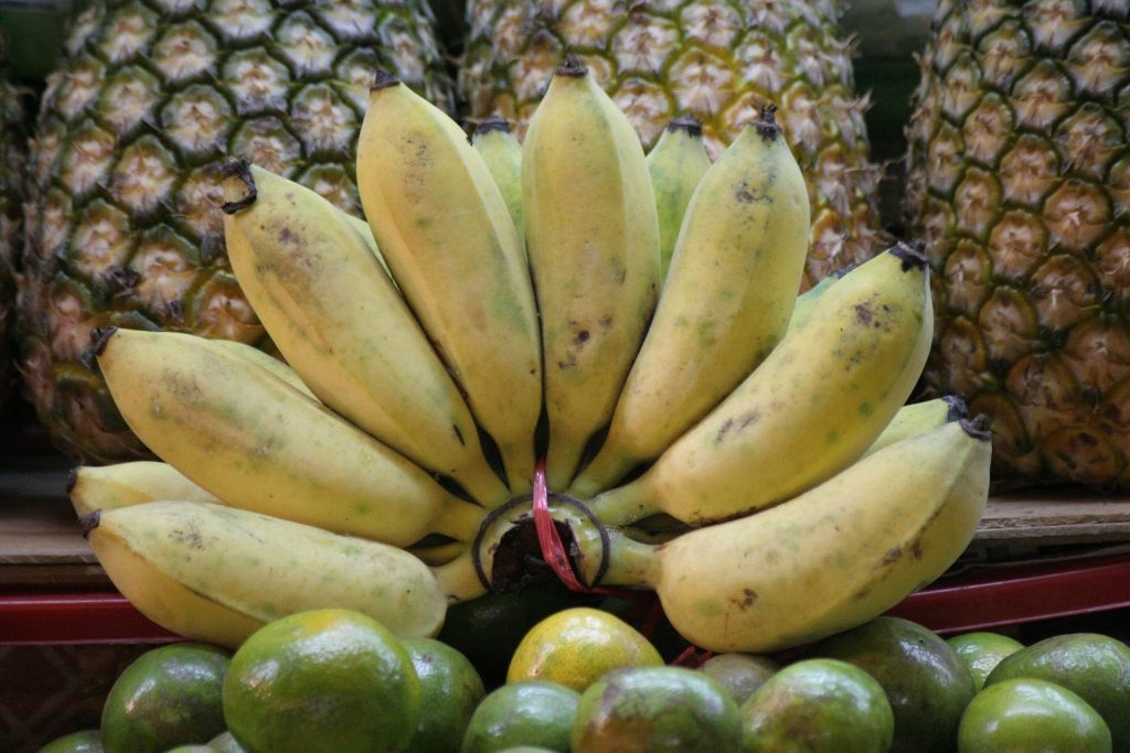 В оранжереях «Царицыно» начался сезон созревания бананов