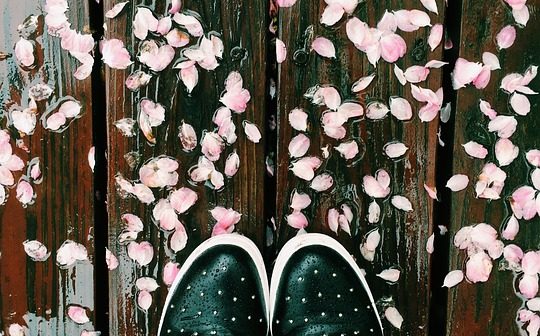 Фото: pixabay.com