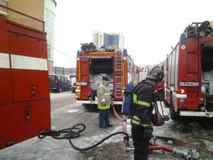 Фото: Анастасия Рогова, "Вечерняя Москва"