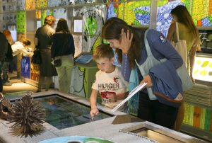 Увлекательные каникулы для детей организуют в Дарвиновском музее. Фото: пресс-служба Дарвиновского музея