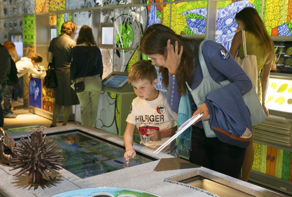 Увлекательные каникулы для детей организуют в Дарвиновском музее