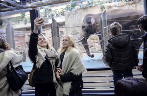 Генеральным директором Московского зоопарка стала Светлана Акулова. Фото: "Вечерняя Москва"