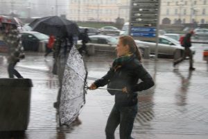 Штормовое предупреждение объявлено в столице в связи с усилением ветра. Фото: архив, "Вечерняя Москва"