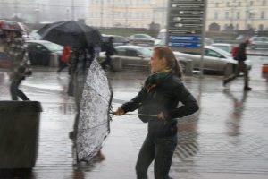 Штормовое предупреждение объявлено в столице в связи с усилением ветра. Фото: архив, "Вечерняя Москва" Штормовое предупреждение объявлено в столице в связи с усилением ветра. Фото: архив, "Вечерняя Москва"