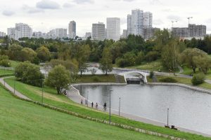 В Общественной палате России обсудили экологию и содержание парков Москвы. Фото: "Вечерняя Москва"