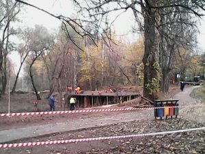 Пруд "Шоколадка" в Бирюлевском денропарке приведут в порядок . Фото: соцсети