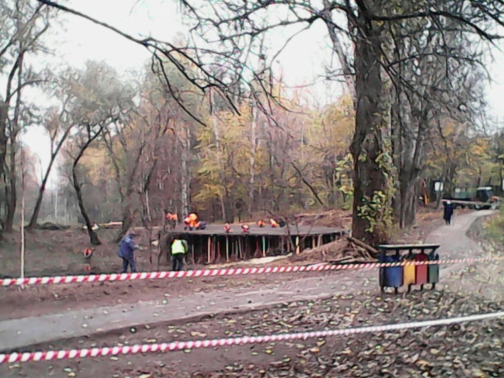 Пруд «Шоколадка» в Бирюлевском денропарке приведут в порядок