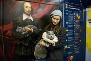 Британский кот первым оценил Шекспировский поезд в Московском метро