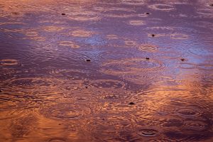 Погода на среду: осадки и облачность. Фото: pixabay.com Погода на среду: осадки и облачность. Фото: pixabay.com