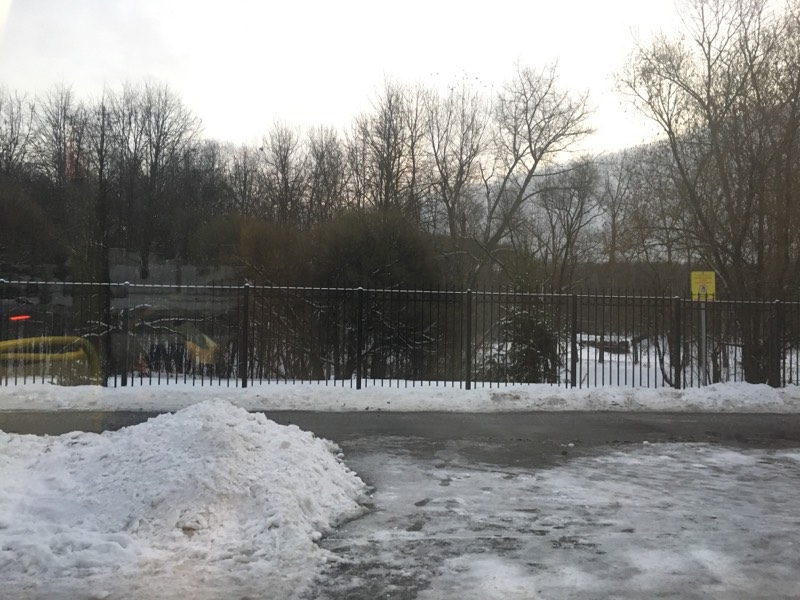 Об образовании ледяной корки в Бирюлевском дендропарке предупредили сотрудники
