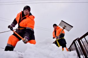 Фото: "Вечерняя Москва"