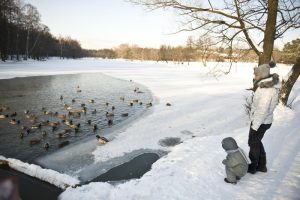 Фото: "Вечерняя Москва"