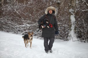 Парк. Фото: "Вечерняя Москва"