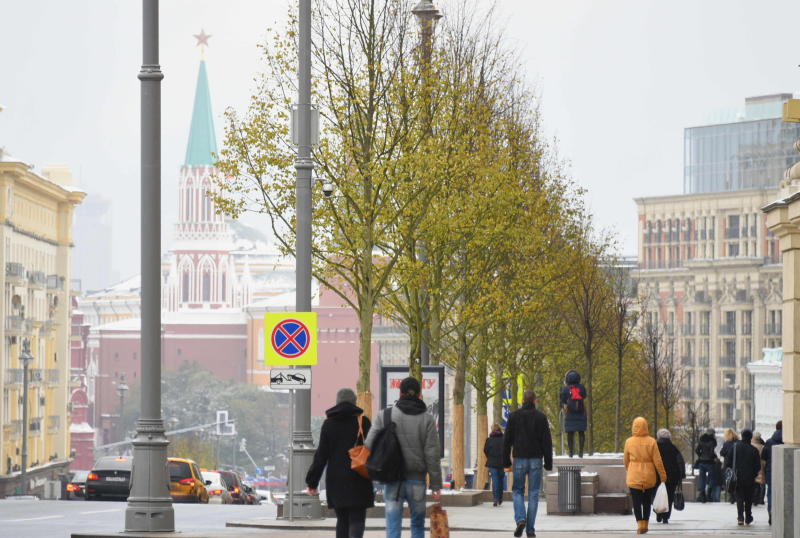 Бирюлево Восточное озеленят в ноябре