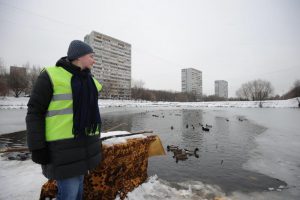 Из пруда на Варшавском шоссе спасли более 20 уток. Фото: "Вечерняя Москва"