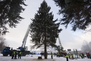 В Москве ннаснут установку новогодней ели. Фото: "Вечерняя Москва"