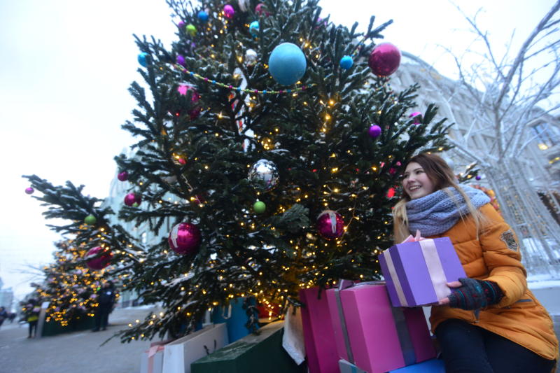Западное Бирюлево украсили светодиодными лампами и новогодней елкой