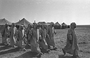 Фото: Алексей Белянчев