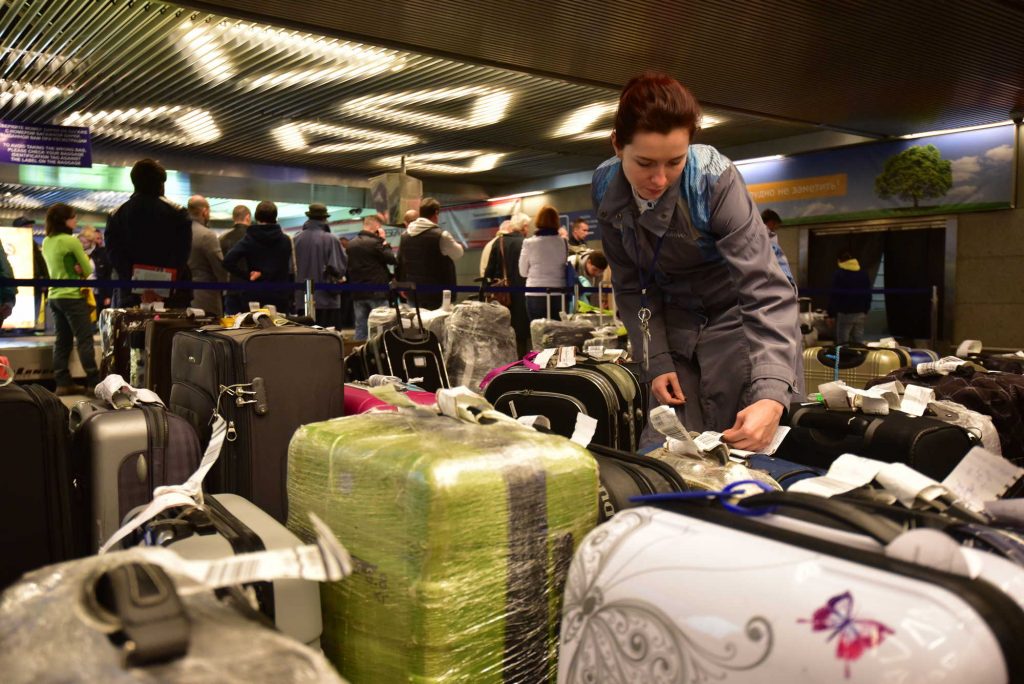 Ввоз подконтрольной продукции пресекли в аэропорту Внуково