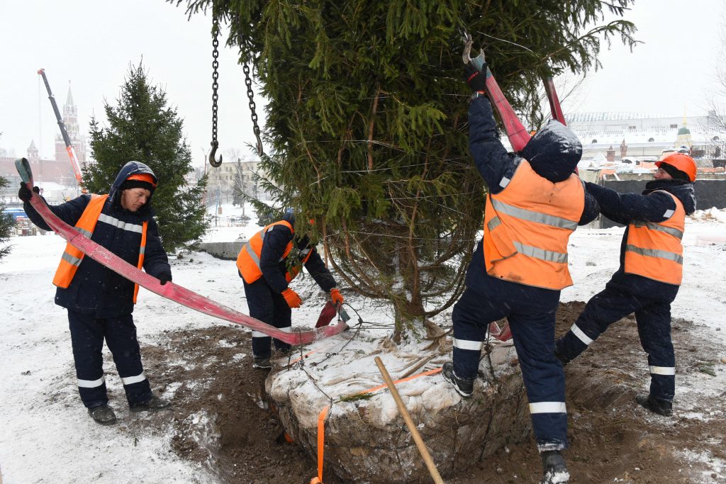 Свыше 40 тысяч деревьев и около 300 тысяч кустарников высадят в Москве в 2017 году